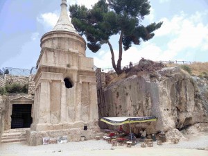 13267839 1203410973032494 3075271098533365822 n