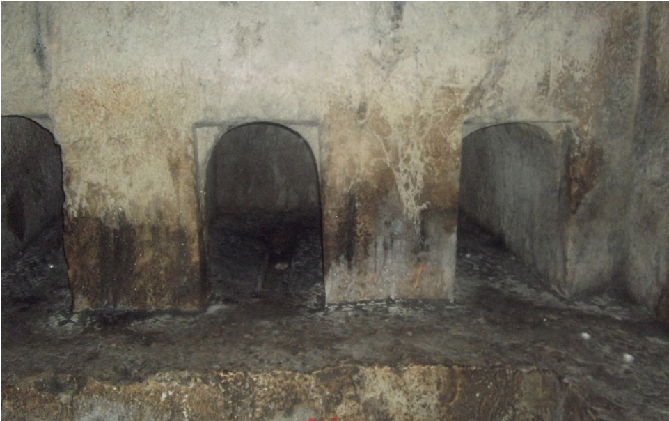 איור 5 :כוכי קבורה