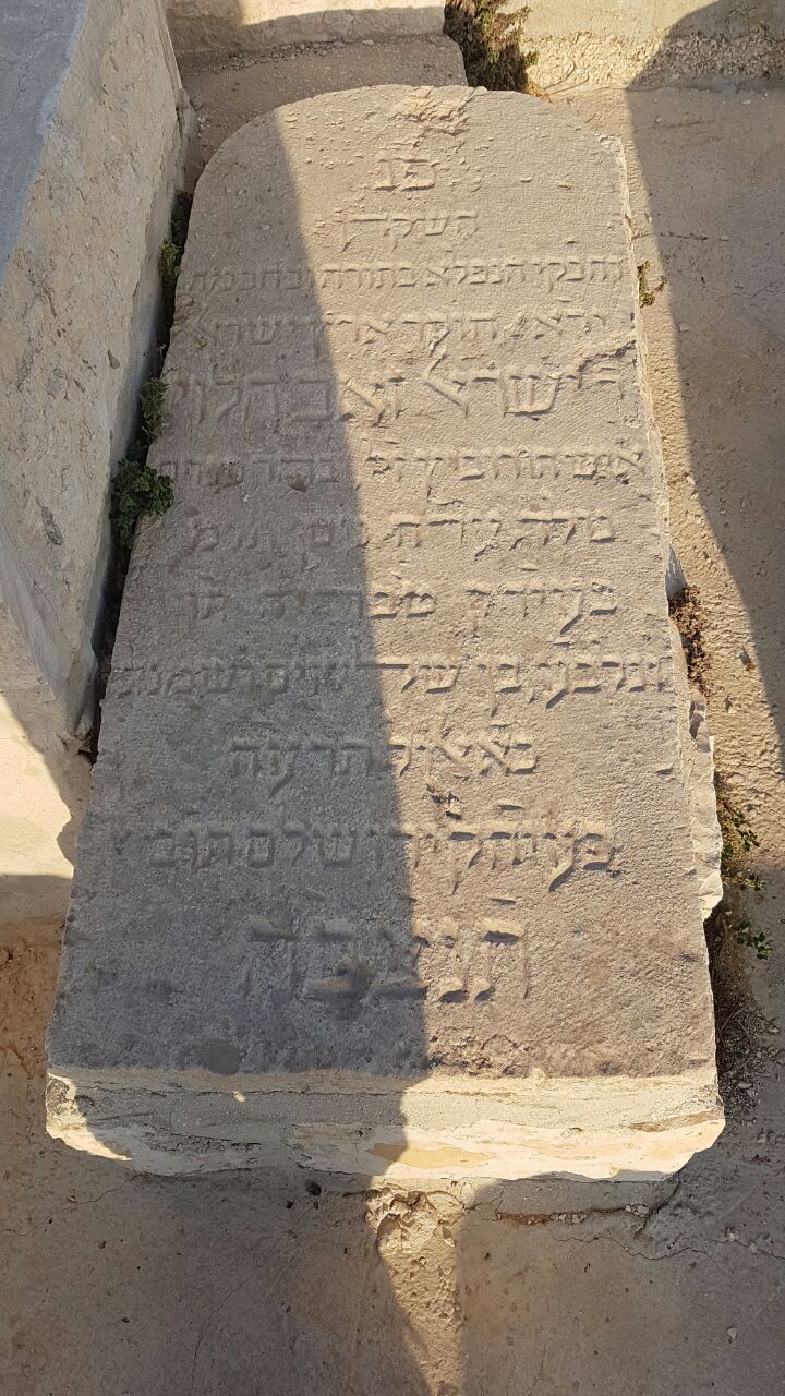 ישראל זאב הורוויץ