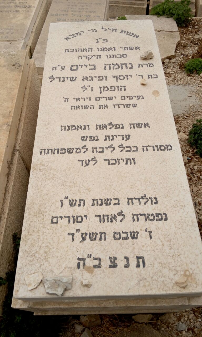 נחמיה ביים הופמן