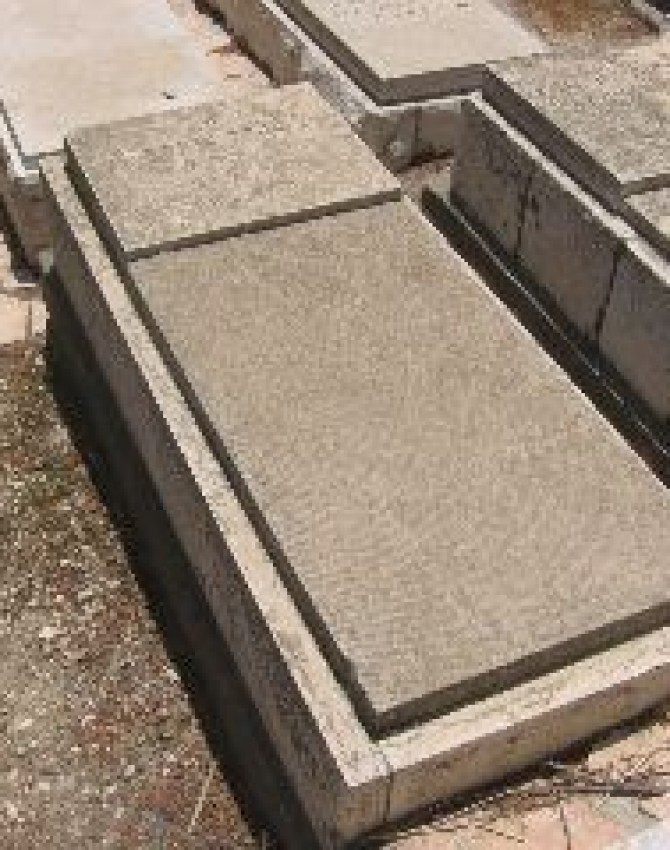 תמונת קבר בתיה פרנקל