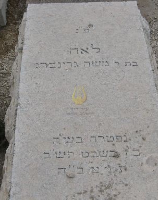 תמונת קבר לאה גרינברג