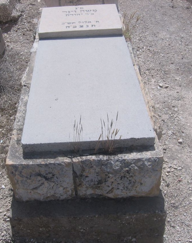 תמונת קבר משה וינר