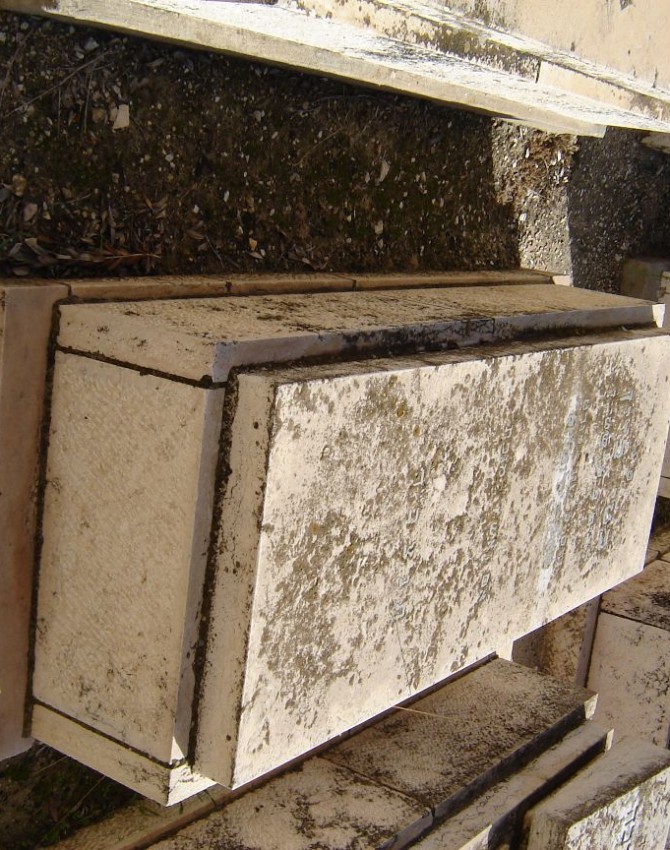 תמונת קבר משה רוזן