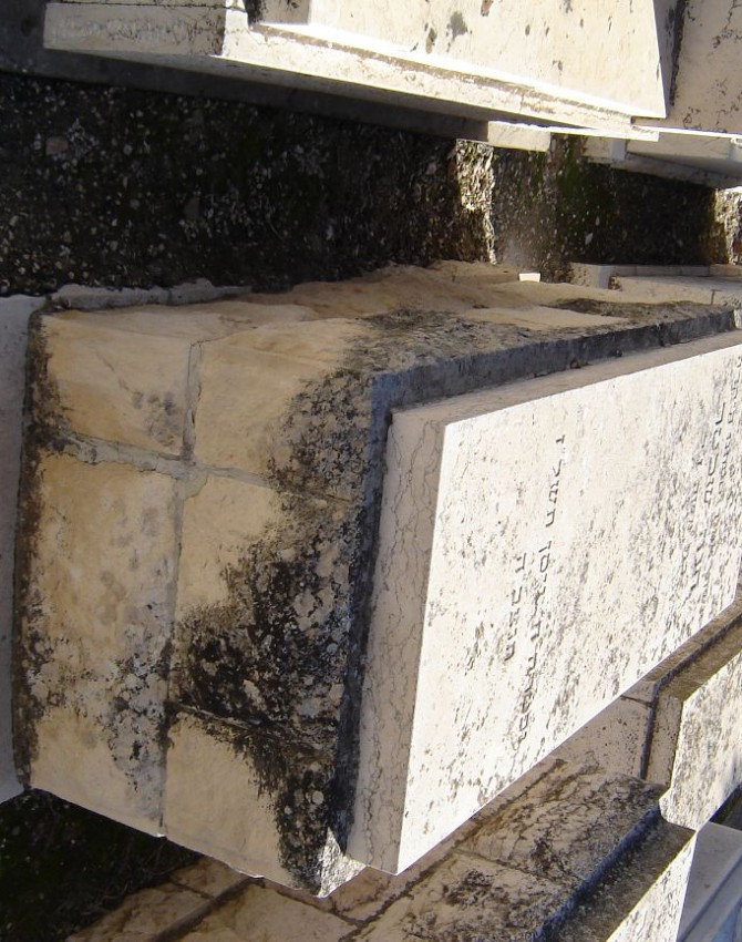 תמונת קבר חנה שכטר