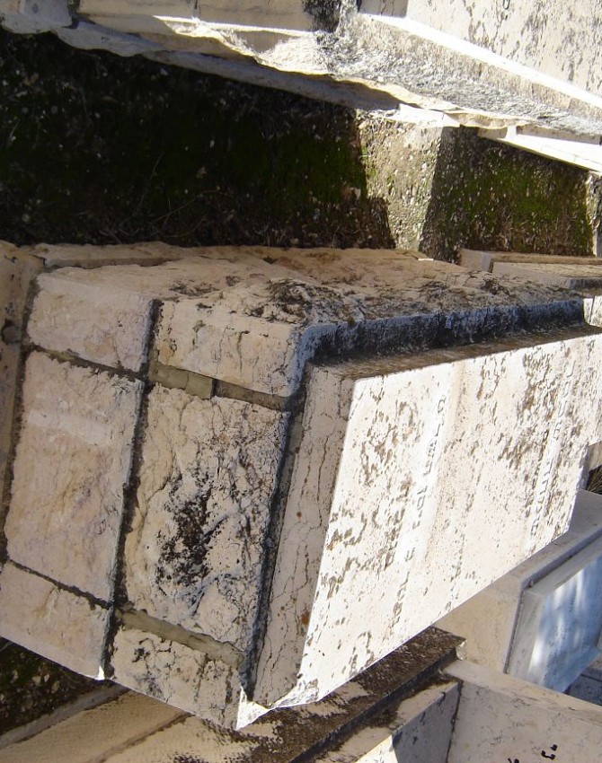 תמונת קבר שמחה שכטר