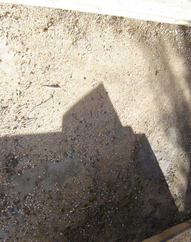 תמונת קבר אלה פינקלשטיין