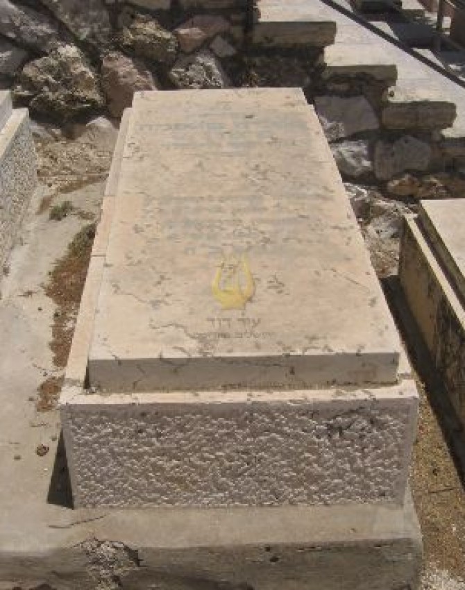 תמונת קבר אמליה שטפניה סימון