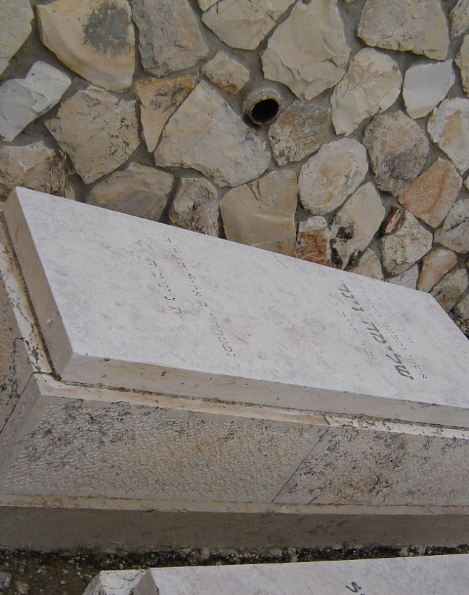 תמונת קבר שלימה וינר