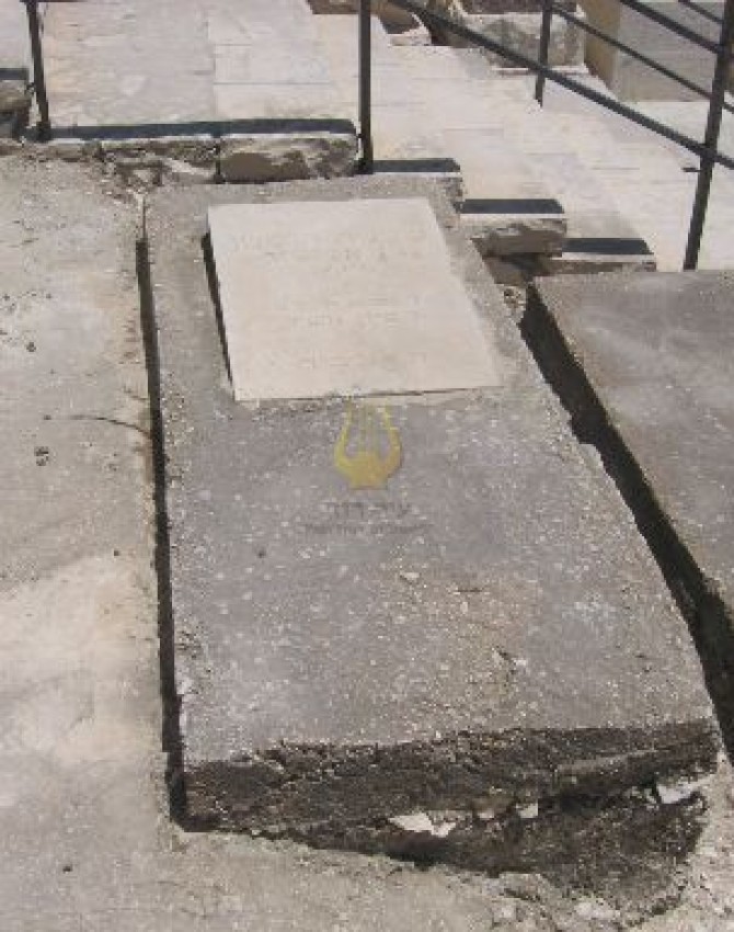 תמונת קבר שלמה הופמן