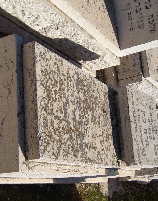 תמונת קבר חיה כץ