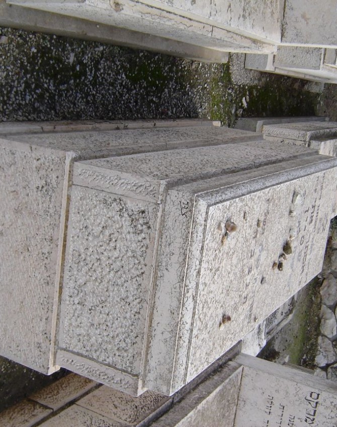 תמונת קבר אסתר שטיין