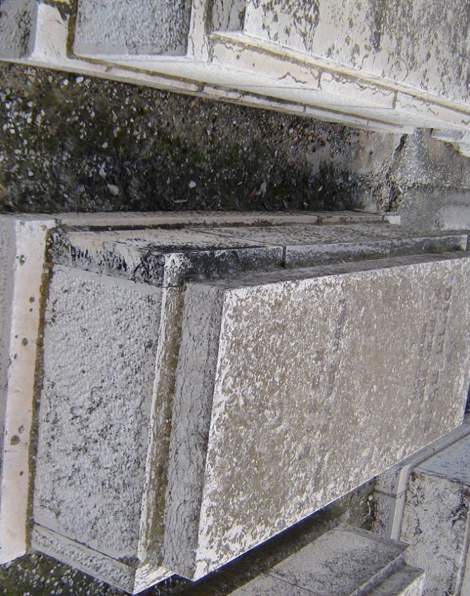 תמונת קבר צילה הויזמן