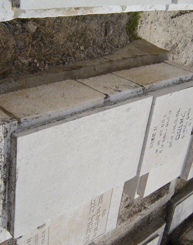 תמונת קבר אברהם יהודה גרין