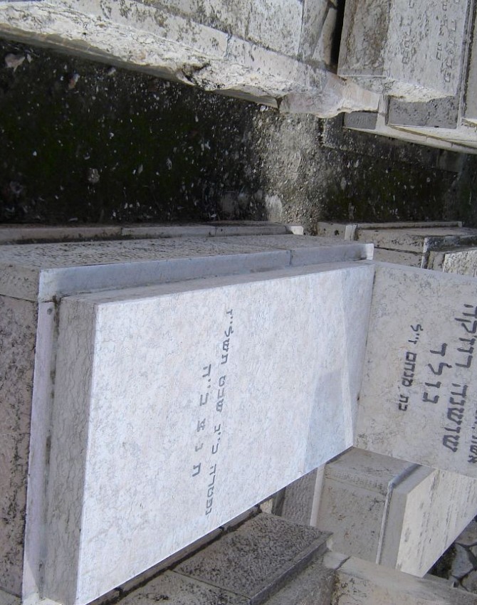תמונת קבר שושנה גולד