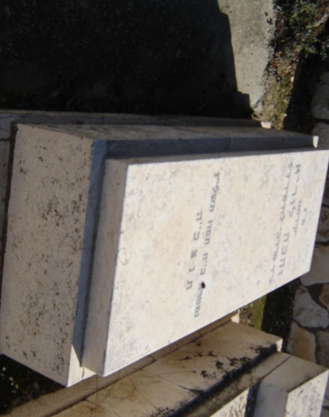 תמונת קבר זהבה לוריא