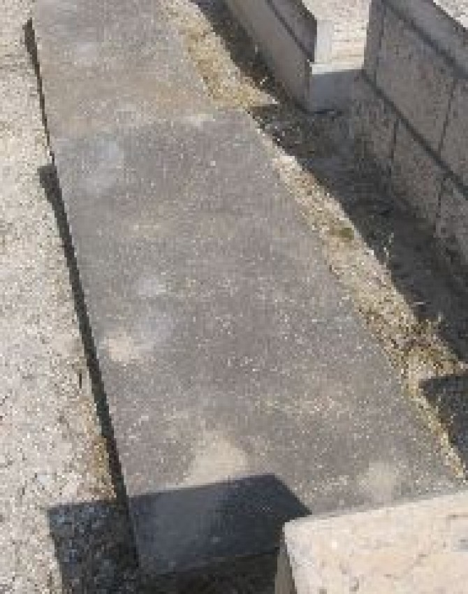 תמונת קבר שרה הורוביץ