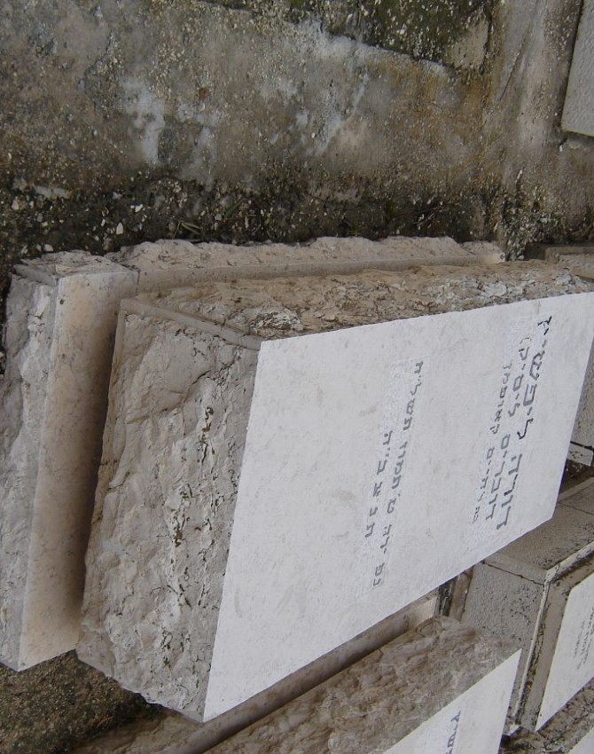 תמונת קבר דורה  ליפשיץ