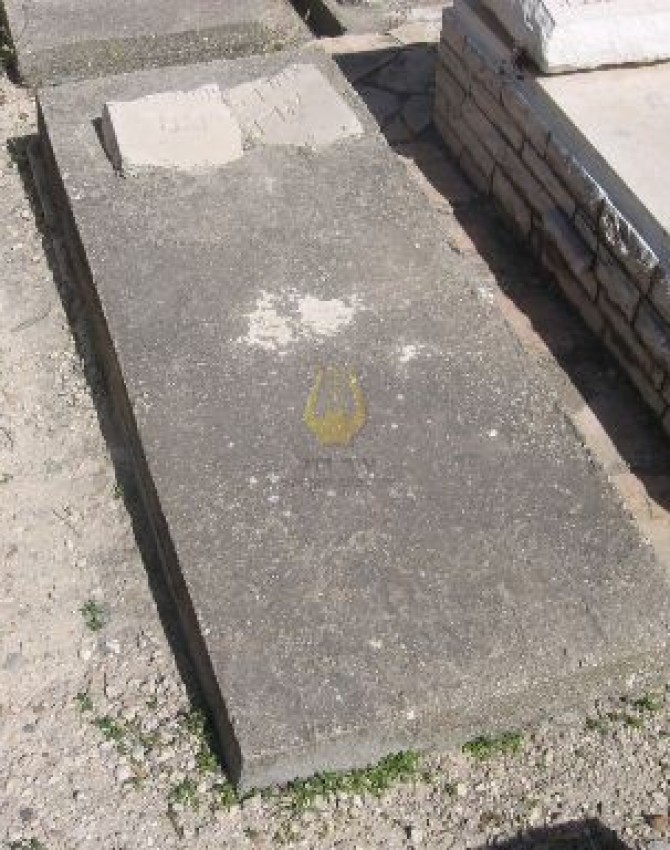 תמונת קבר אהרן וגנר