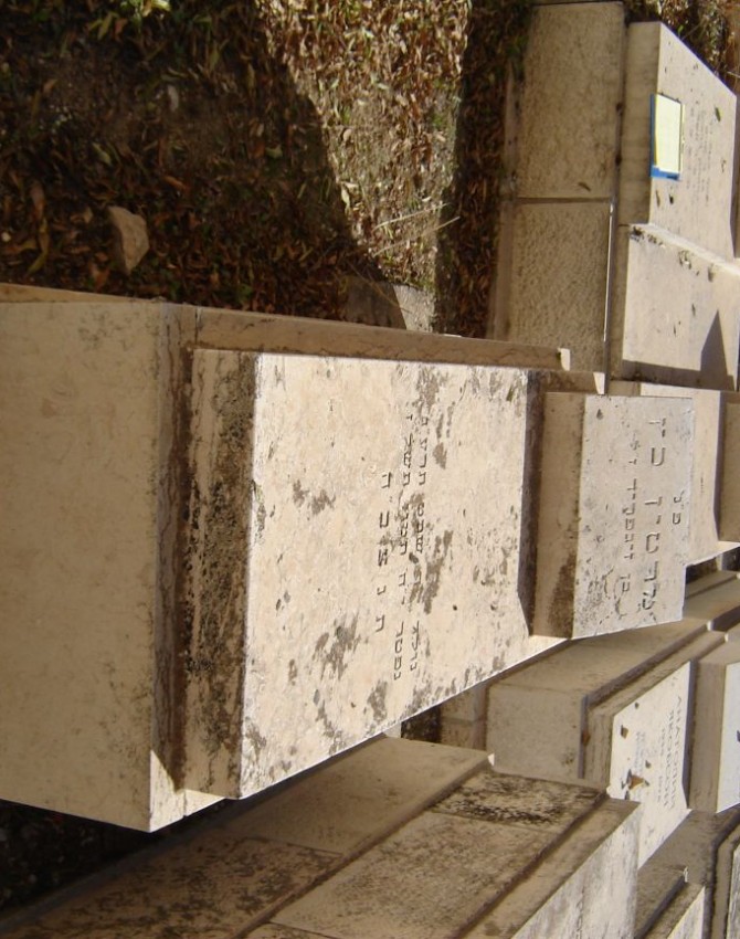 תמונת קבר מרטין כץ