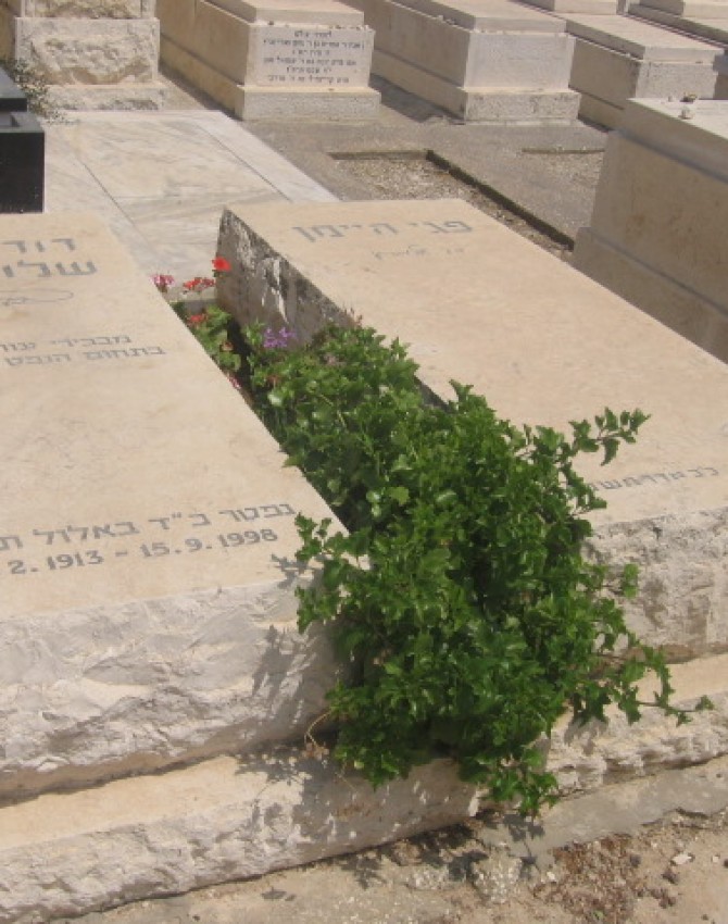 תמונת קבר פגי היימן