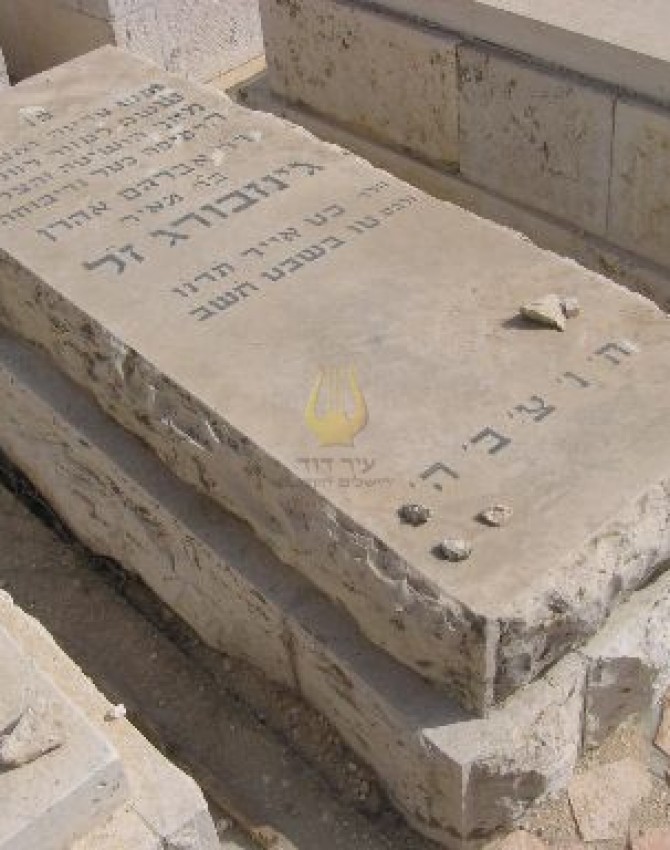 תמונת קבר אברהם אהרן גינזבורג
