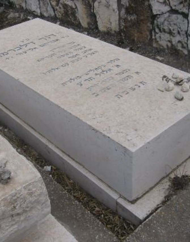 תמונת קבר דוד זילברמן