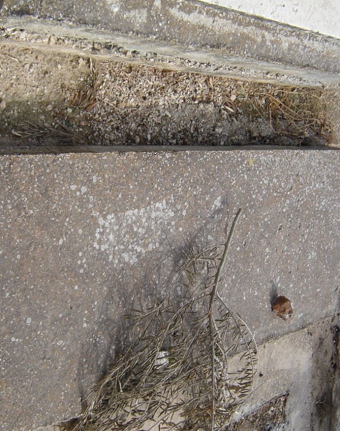 תמונת קבר יפה   מלמד