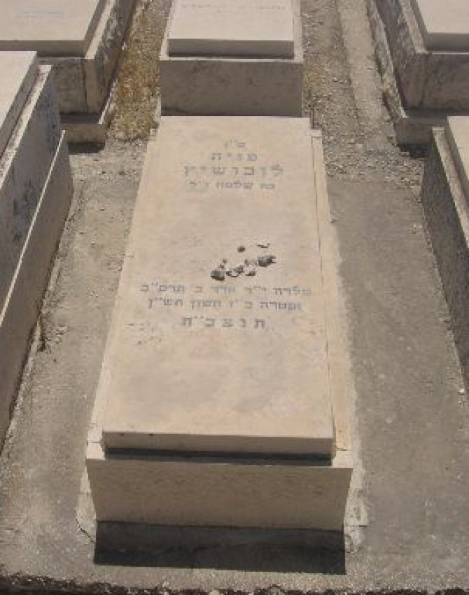 תמונת קבר  פניה לובושיץ