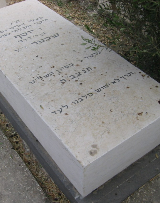 תמונת קבר יוסף שכטר