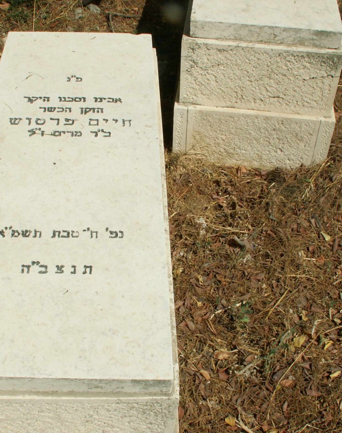 תמונת קבר חיים פרטוש
