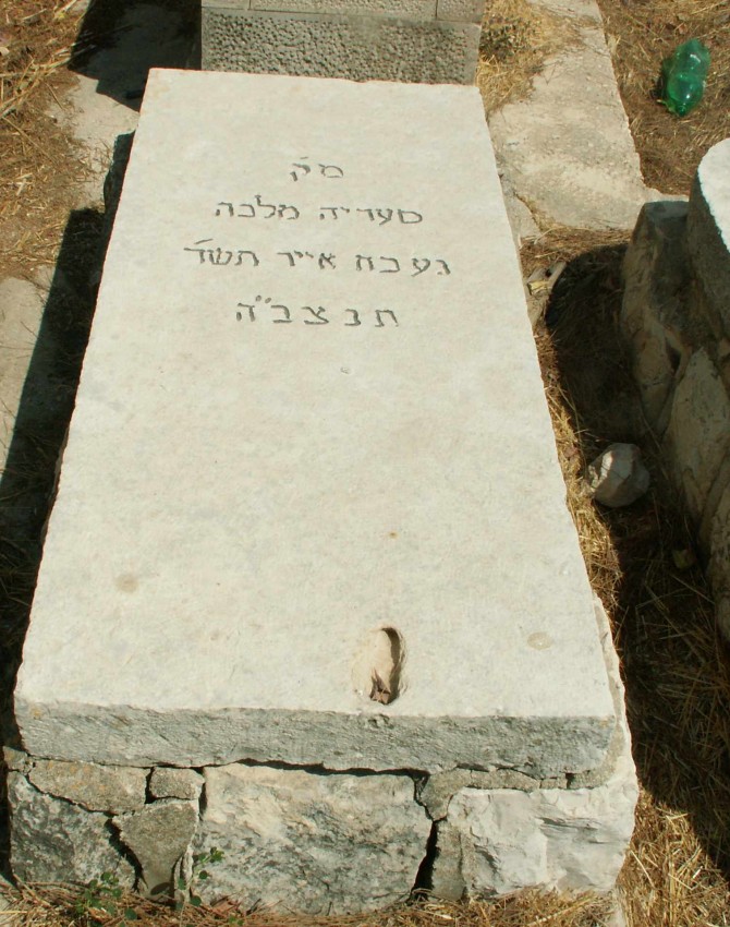 תמונת קבר סעדיה מלכה