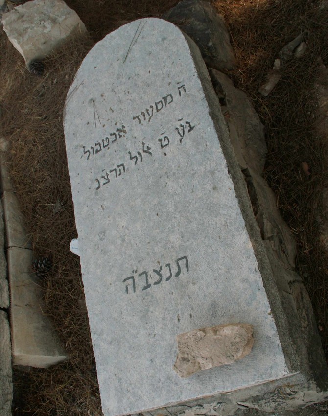 תמונת קבר מסעוד אבוטבול