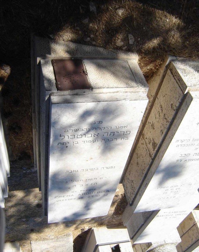 תמונת קבר פריחה אבוטבול