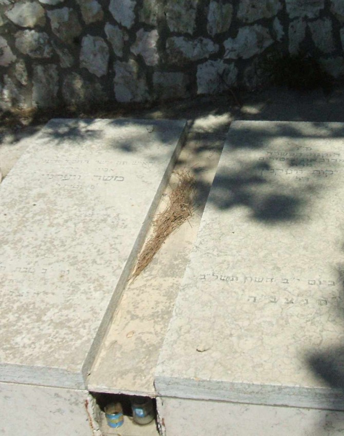 תמונת קבר משה וועקנין