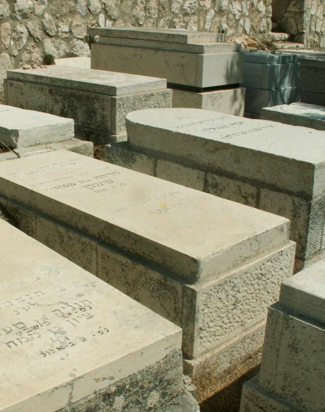 תמונת קבר פרחה ששון