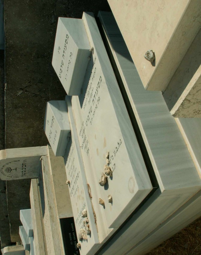 תמונת קבר מסעודה שרביט