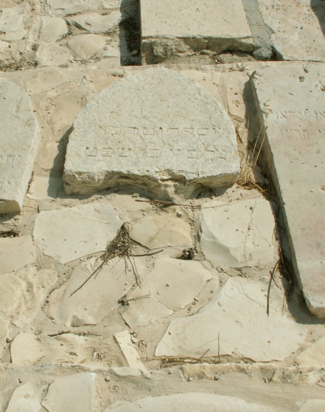 תמונת קבר יוסף חוטר כץ