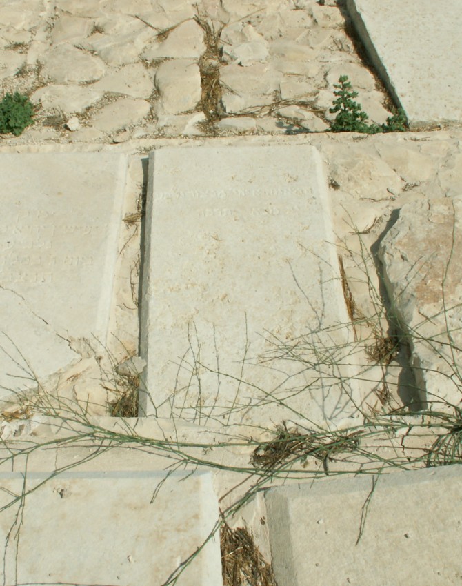 תמונת קבר חמאמה מנצור