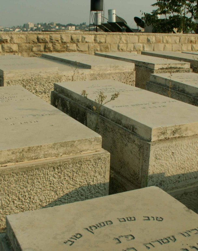 תמונת קבר שמחה אפרתי