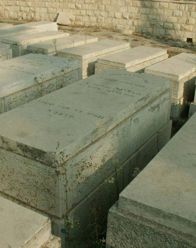 תמונת קבר דינה שמש