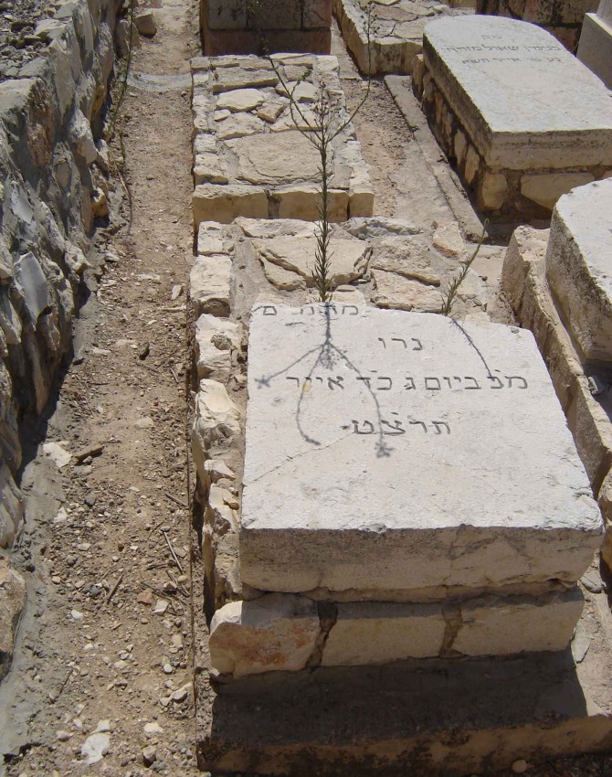 תמונת קבר לא ידוע לא ידוע