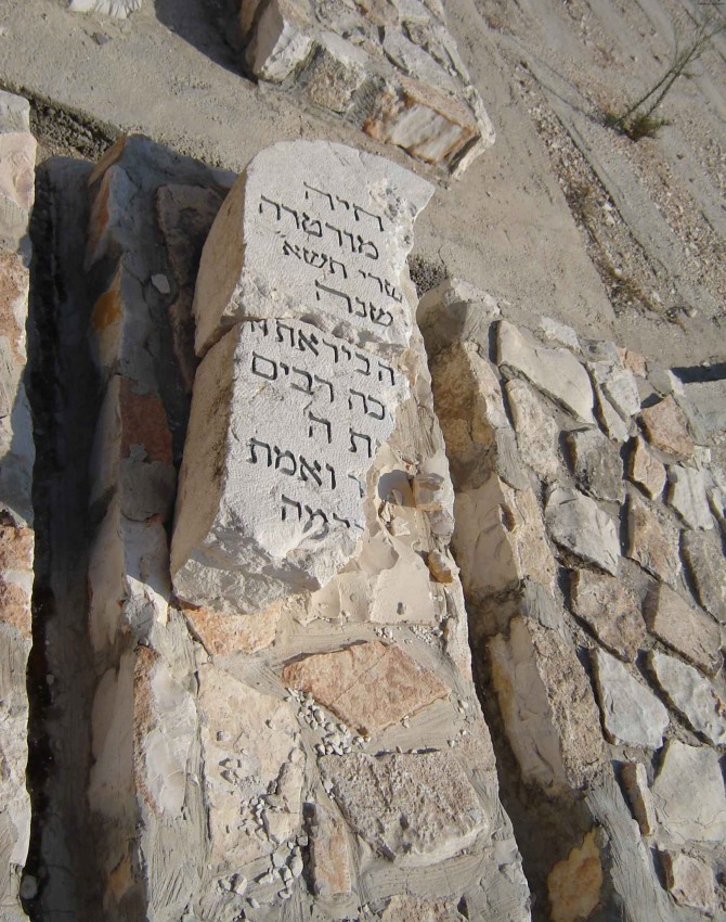 תמונת קבר חיה לא ידוע