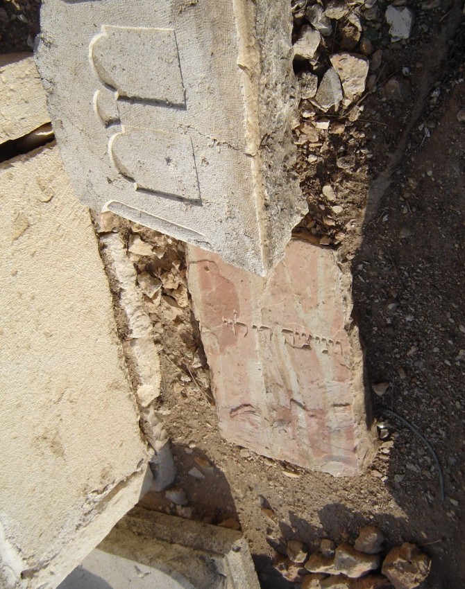 תמונת קבר מרים אפטליון