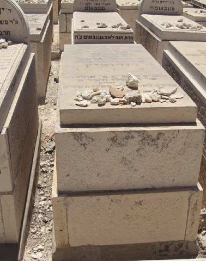 תמונת קבר משה יהושע הורוביץ