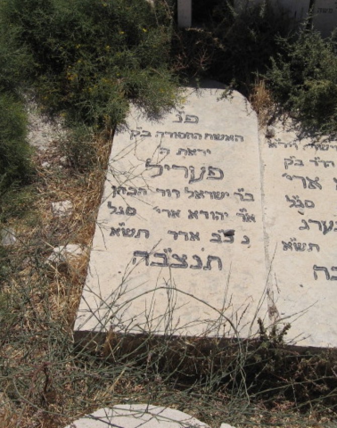 תמונת קבר פעריל סגל