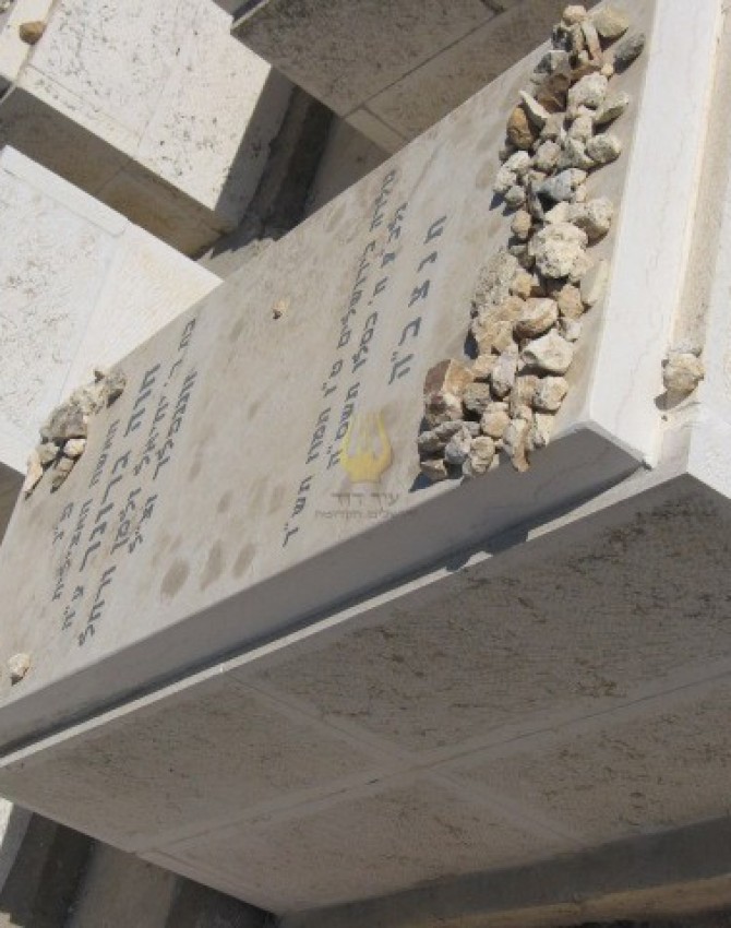 תמונת קבר חוה גרונר