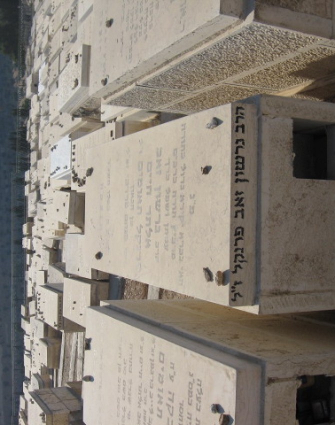 תמונת קבר גרשון זאב אלתר חיים פרנקל תאומים