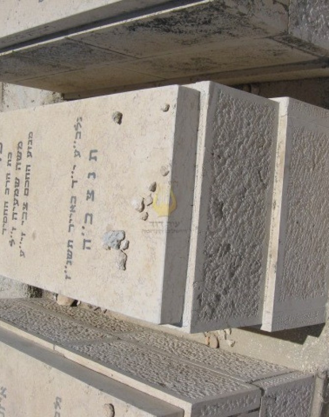 תמונת קבר רעכיל צביה פריינד