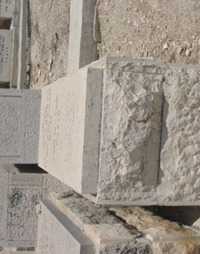 תמונת קבר ליבא ווייס